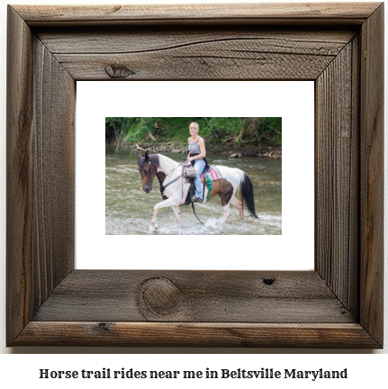 horse trail rides near me in Beltsville, Maryland